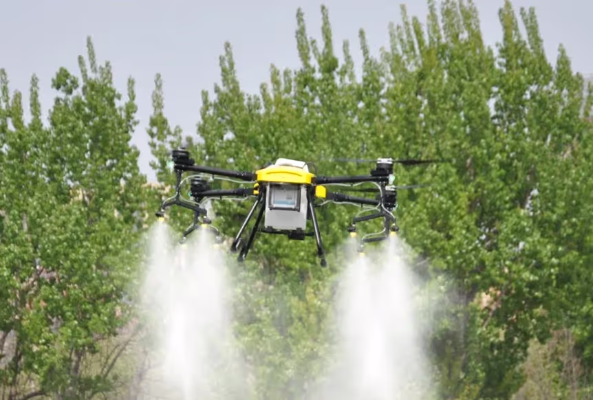 Service Three Item Image